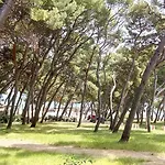 Sunshower And * 스플리트