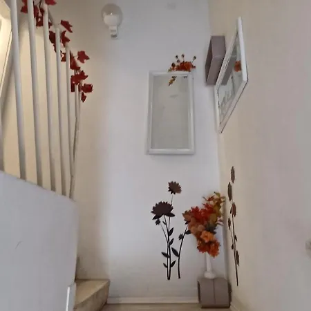 Sunshower And スプリト