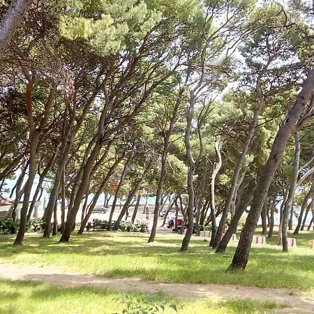 Sunshower And * سبليت